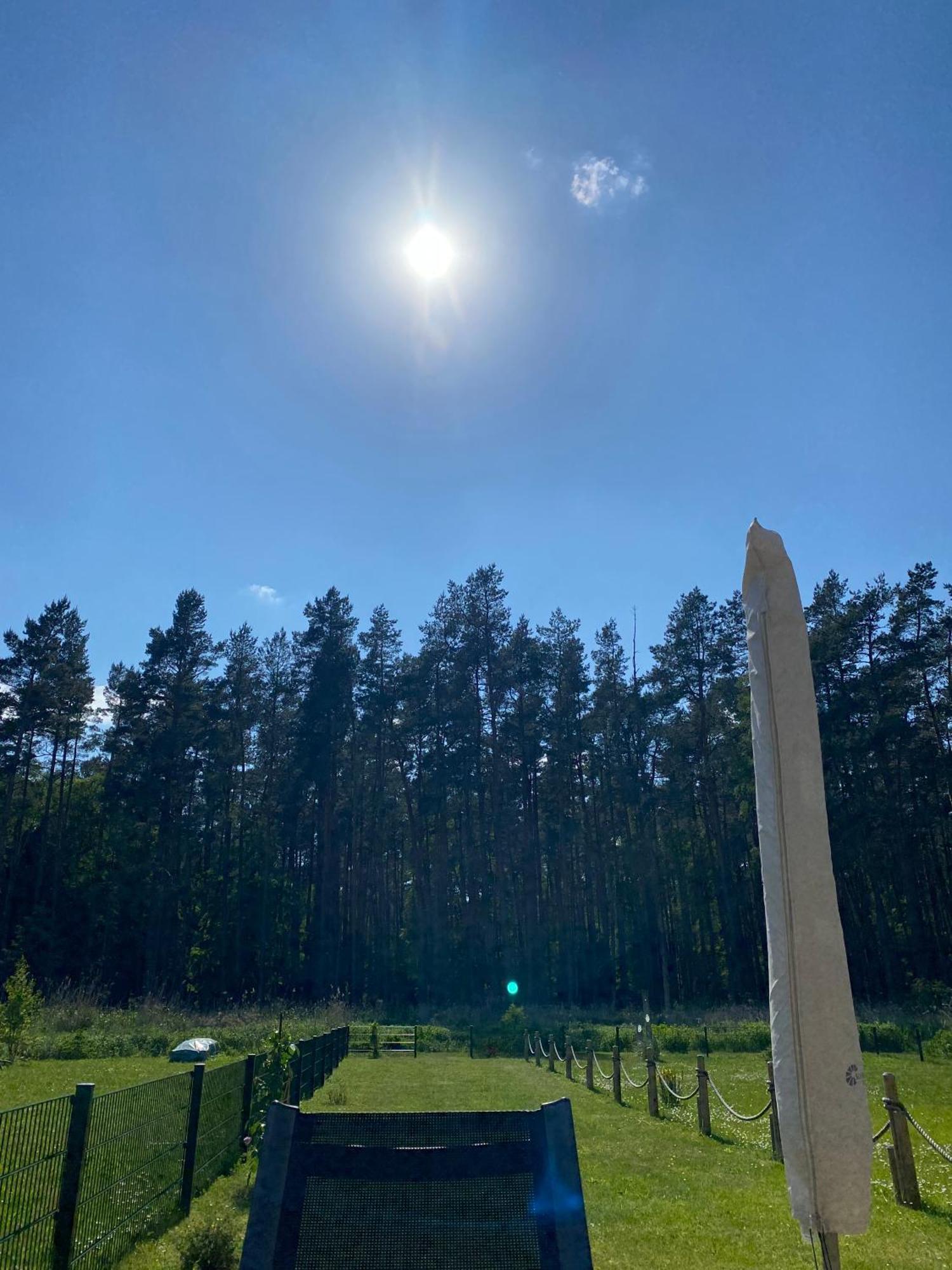 Lieblingsplatz Im Kuestenwald Graal-Mueritz Gelbensande Luaran gambar